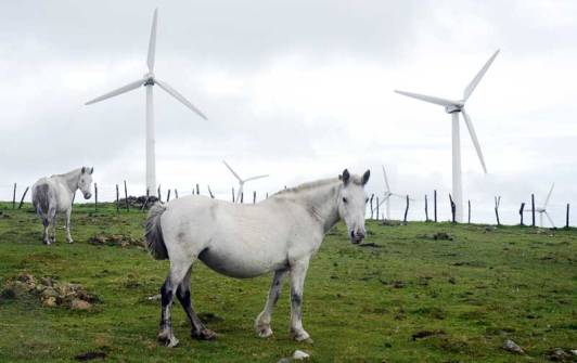 Aereogeneradores en Galicia. Soria se comería los caballos.