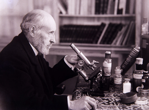 Ramón y Cajal en su casa de Madrid, 1915.