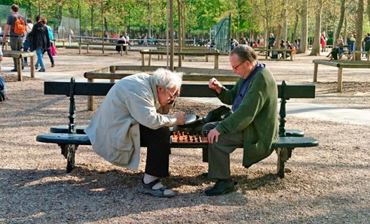 ajedrez_jardi_luxemburgo_web